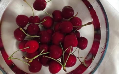 Cherry Clafouti